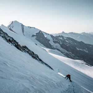 卓仕琳脱了内裤求被c视频
